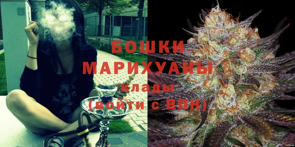 ПСИЛОЦИБИНОВЫЕ ГРИБЫ Магас